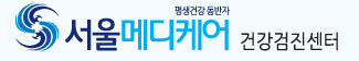 서울메디케어